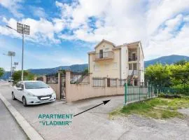 Apartment Vladimir