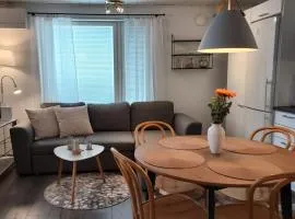 Lomayksiö C 3 Sotkamon keskustassa
