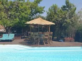 LE CABANON Piscine Jacuzzi Sauna Paillote
