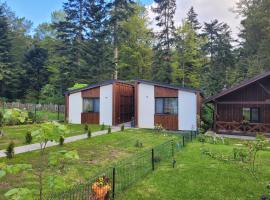 Chalet Amik, chalet de montaña en Bușteni