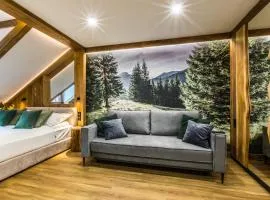 Apartamenty ForRest Krupówki