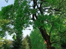 AGROTURYSTYKA "BIKE-OWE RANCZO POD KLONAMI"