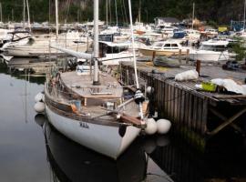 Boat u Deda: Arefjord şehrinde bir tekne