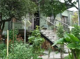 Eleven Guest House