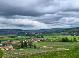 Le Coq de Champagne