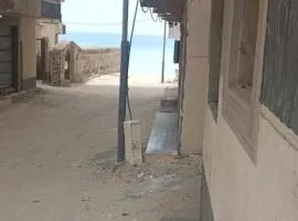 شقة في اسكندرية على البحر في منطقة ابو تلات