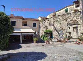 Locanda Cà de Rusitta