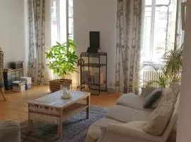 Appartement atypique au Cœur du Puy en Velay