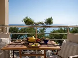 SkyBlue Horizon Studio 3