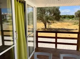 Bungalows Camp