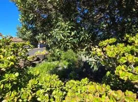 Vivienda Vacacional El Lagar, Bodega A