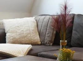 Mikra Homes24 in Zwickau