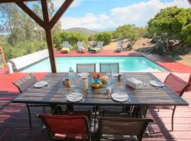 Villa Saint Florent - Terrace and swimming pool