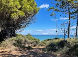 Appartement T3 en Corse, Marina di Bravone N131