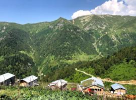 Mets House Artvin, homestay in Artvin