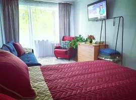 Krymo g. Lovely 2 room flat in Šiauliai, near Akropolis