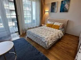 City Centre Apartment with Free Parking