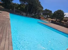 Appartement de 2 chambres a Lecci a 900 m de la plage avec piscine partagee balcon amenage et wifi
