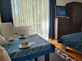 Dom wczasowy - Ferienwohnung