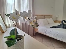 Elysian Apartment