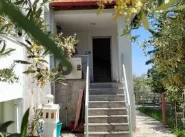House of Artemis D in Asprovalta
