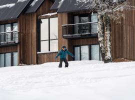 Vilas de Montaña, vikendica u gradu 'San Martín de los Andes'