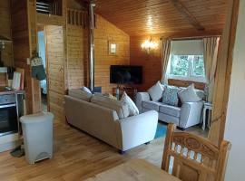 Comfy Secluded Cabin, chalet de montaña en Machynlleth