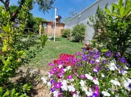 Mammaioa house