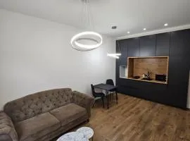 Modern apartment