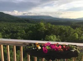 Eagles View, Luxury living Amazing Mtn Views! indoor pool & spa