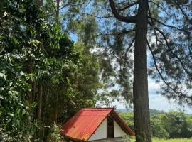 Terranest: Pereira'da bir kamp alanı