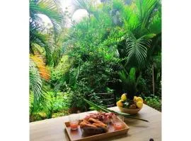 Villa tropicale charmant T2 dans un cadre verdoyant