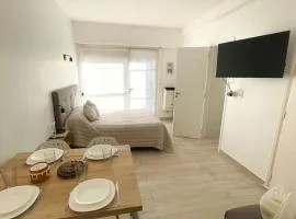 Monoambiente zona Guemes/Paseo Aldrey