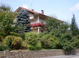 Family- friendly apartment in bavarian forest, hotel in Prackenbach