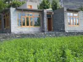 Home of golden oriole, hotel v destinácii Hunza
