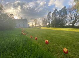 Cosy farmhouse in the heart of Roscommon, Hotel in Roscommon