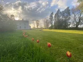 Cosy farmhouse in the heart of Roscommon