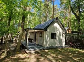 Lake House Lubkowo z prywatnym jacuzzi