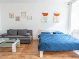 4-lůžkový byt v centru Plzně