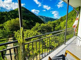 Family hotel mountain panorama: Borcomi şehrinde bir otel