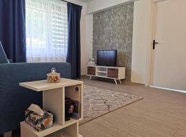 Serene Home, hotel v destinácii Mediaş