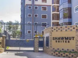 Havan Furnished Apartment-Shawmut