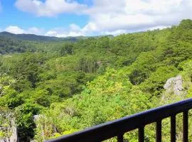 Rm 101 Mhapiya-aw Pensione Inn