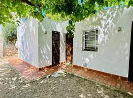 Les cases del vent I