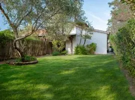 Ca cele viola - Klodge