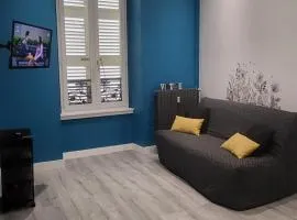 Grand studio refait à neuf centre-ville