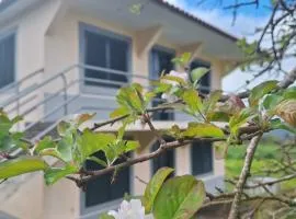 Villa Correia - Ribeiro Frio