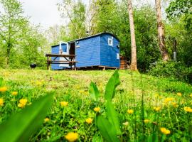 Cosy Shepherd's Hut with Hot Tub, holiday home in Church Stretton