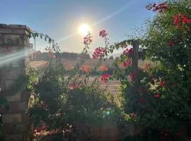 Poria Valle de Guadalupe