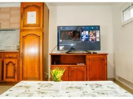 Qhome 5 - F3 confortable entre Paris et Disney - Parking privé